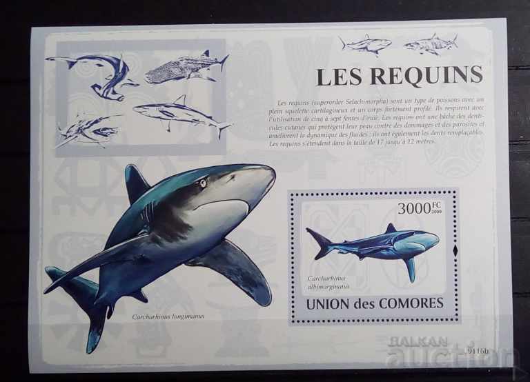 Comoros 2009 Fauna / Animals / Fish / Sharks Block 12 € MNH