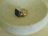 Ανδρικό ασημένιο δαχτυλίδι με επιχρυσωμένο, EAGLE, Ασημί 925