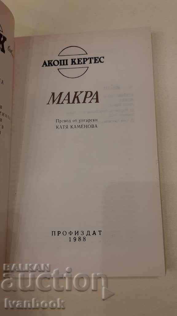 Licitație Macro - Akot Curtes Licitație Macro - Akot Curtes