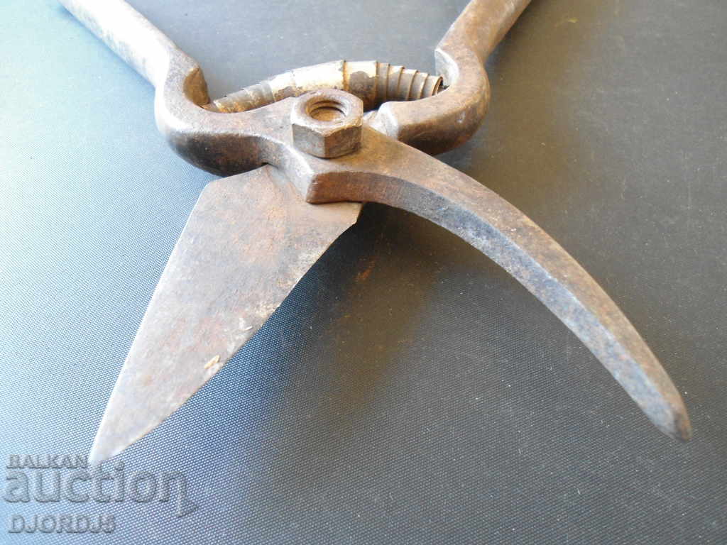 Delivery of Old vine shears, marking