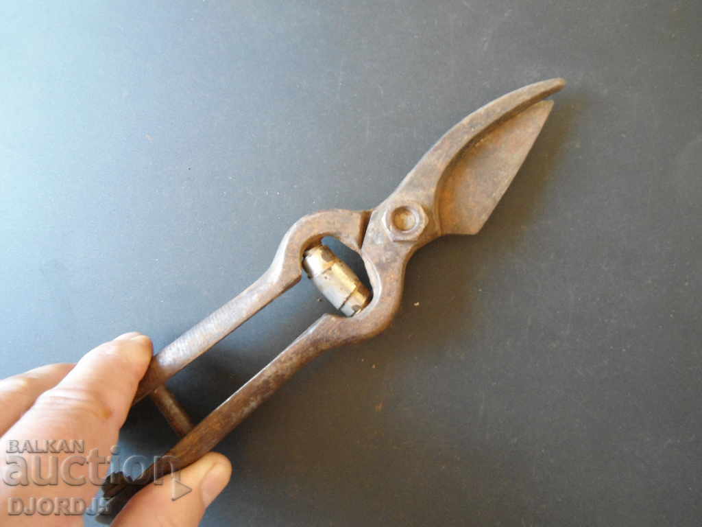 Old vine shears, marking - 5