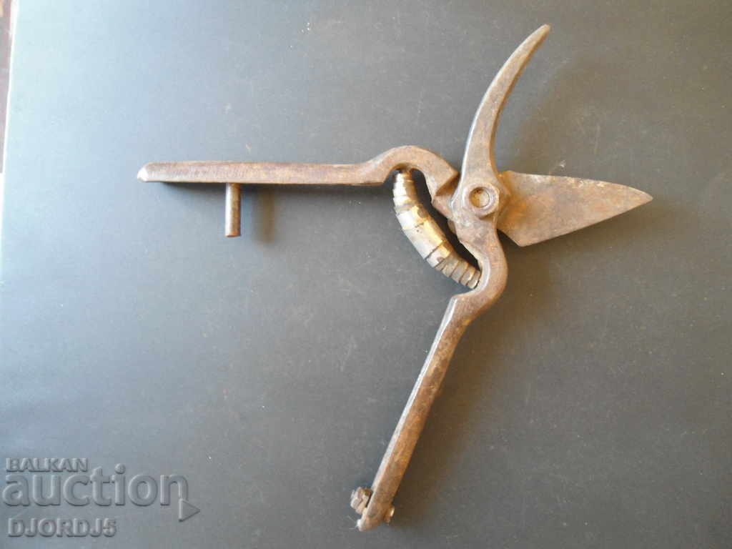 Old vine shears, marking