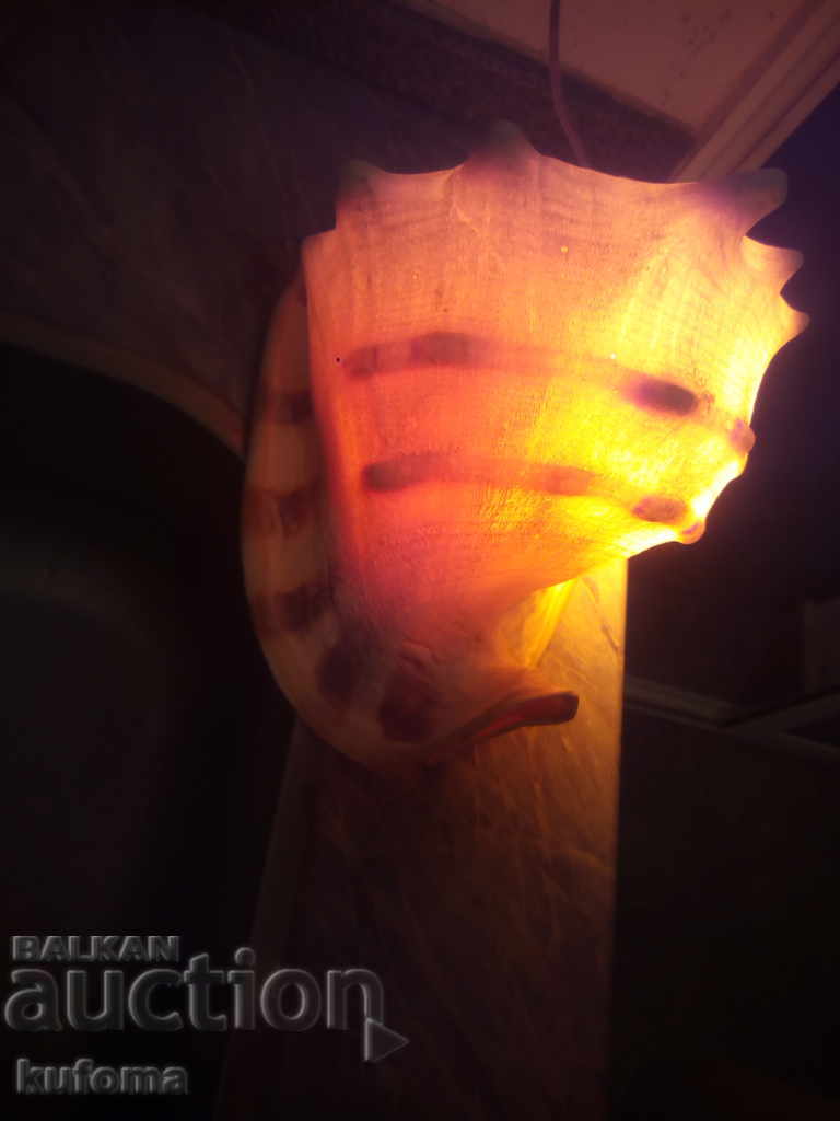 Νυχτερινή λάμπα από ένα μεγάλο νεροχύτη με τιμή 129.99 BGN | € 66.46 Νυχτερινή λάμπα από ένα μεγάλο νεροχύτη με τιμή 129.99 BGN | € 66.46