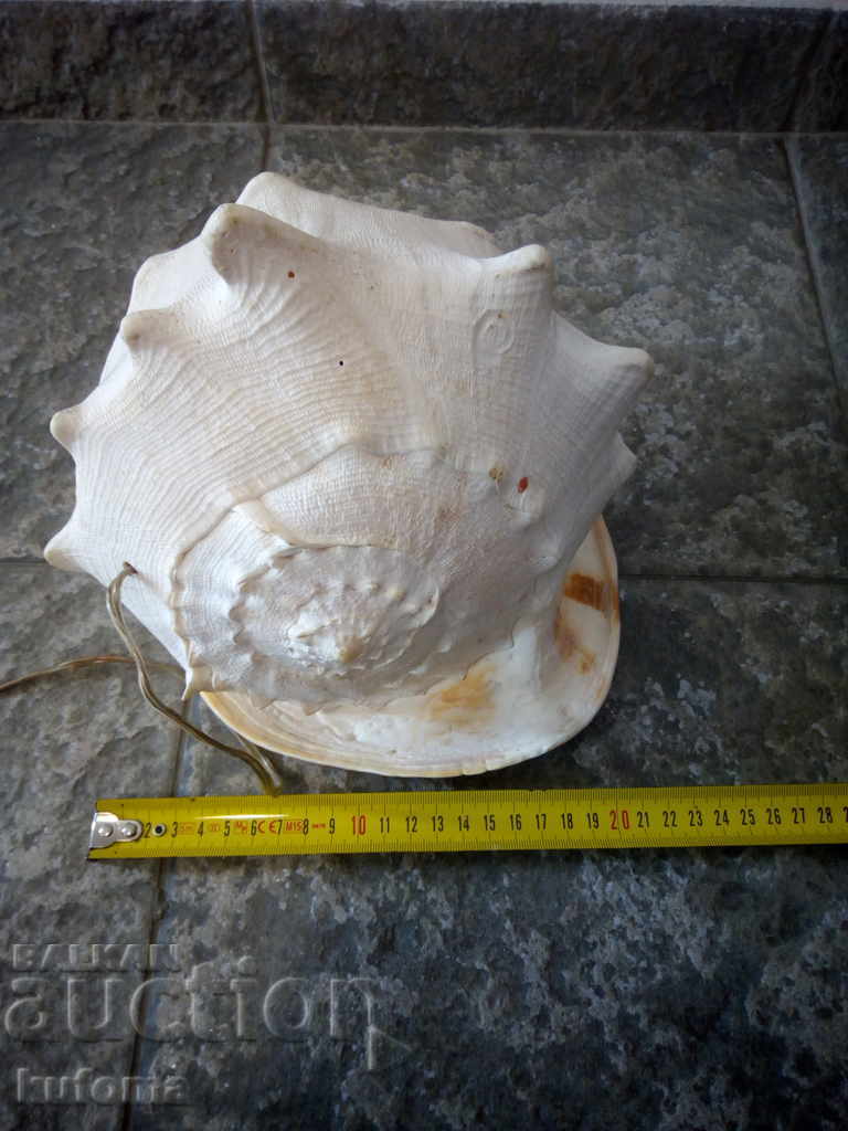 Δημοπρασία Νυχτερινή λάμπα από ένα μεγάλο νεροχύτη Δημοπρασία Νυχτερινή λάμπα από ένα μεγάλο νεροχύτη