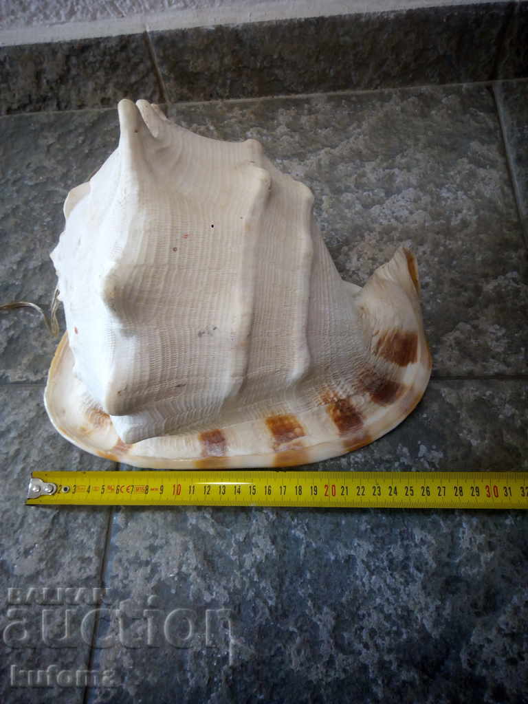 Παράδοση Νυχτερινή λάμπα από ένα μεγάλο νεροχύτη Παράδοση Νυχτερινή λάμπα από ένα μεγάλο νεροχύτη