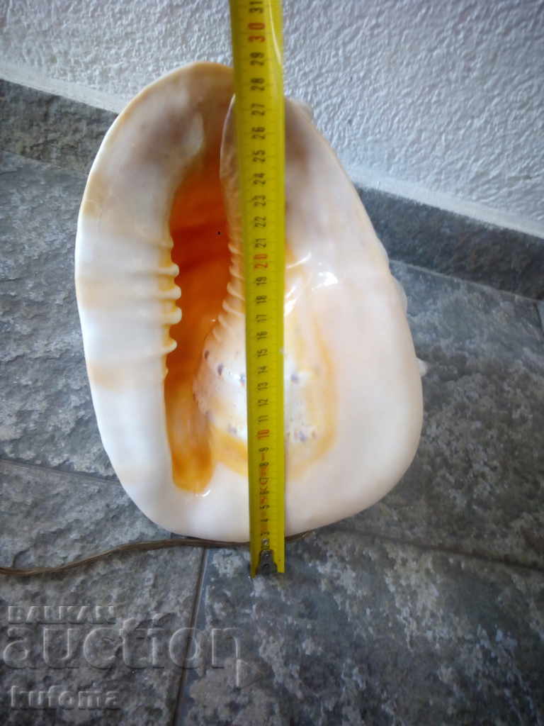 Νυχτερινή λάμπα από ένα μεγάλο νεροχύτη - 5 Νυχτερινή λάμπα από ένα μεγάλο νεροχύτη - 5