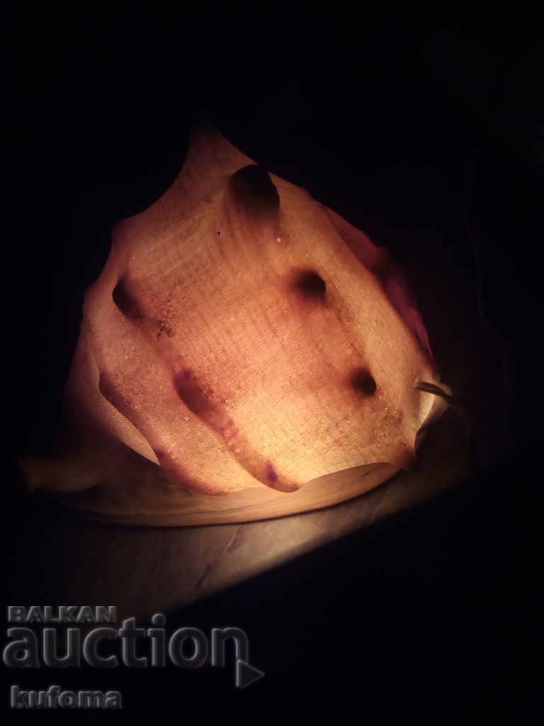 Νυχτερινή λάμπα από ένα μεγάλο νεροχύτη - 6 Νυχτερινή λάμπα από ένα μεγάλο νεροχύτη - 6