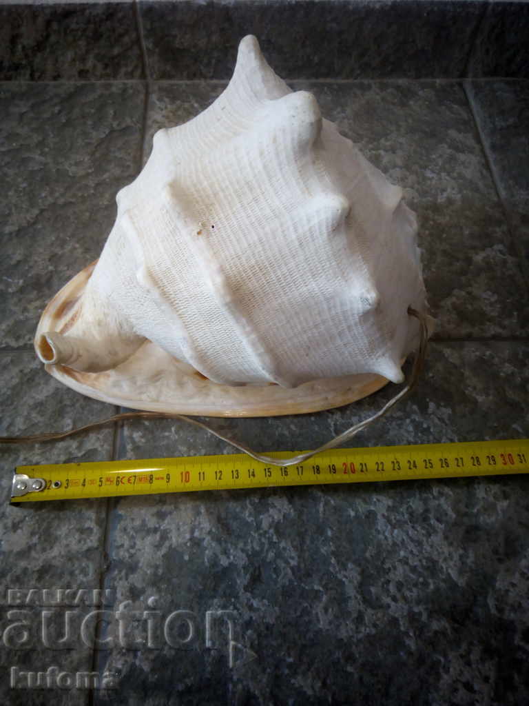 Νυχτερινή λάμπα από ένα μεγάλο νεροχύτη - 7 Νυχτερινή λάμπα από ένα μεγάλο νεροχύτη - 7