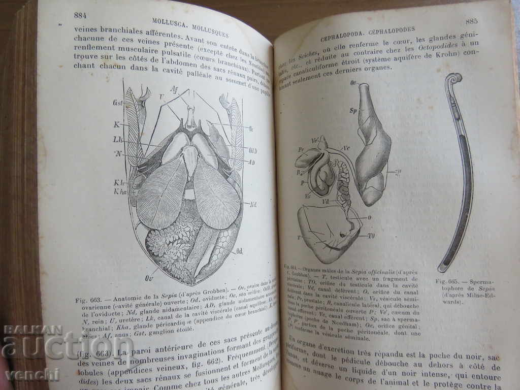 Delivery of 1889 - ZOOLOGY - PARIS - FRENCH Delivery of 1889 - ZOOLOGY - PARIS - FRENCH