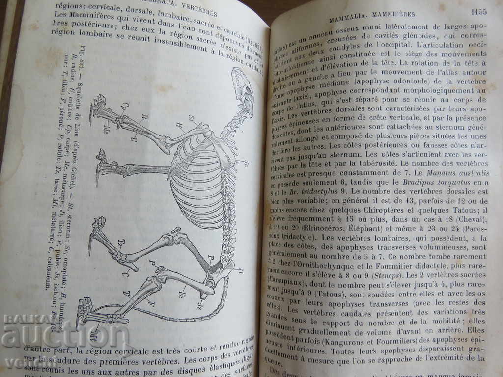 1889 - ZOOLOGY - PARIS - FRENCH - 5 1889 - ZOOLOGY - PARIS - FRENCH - 5