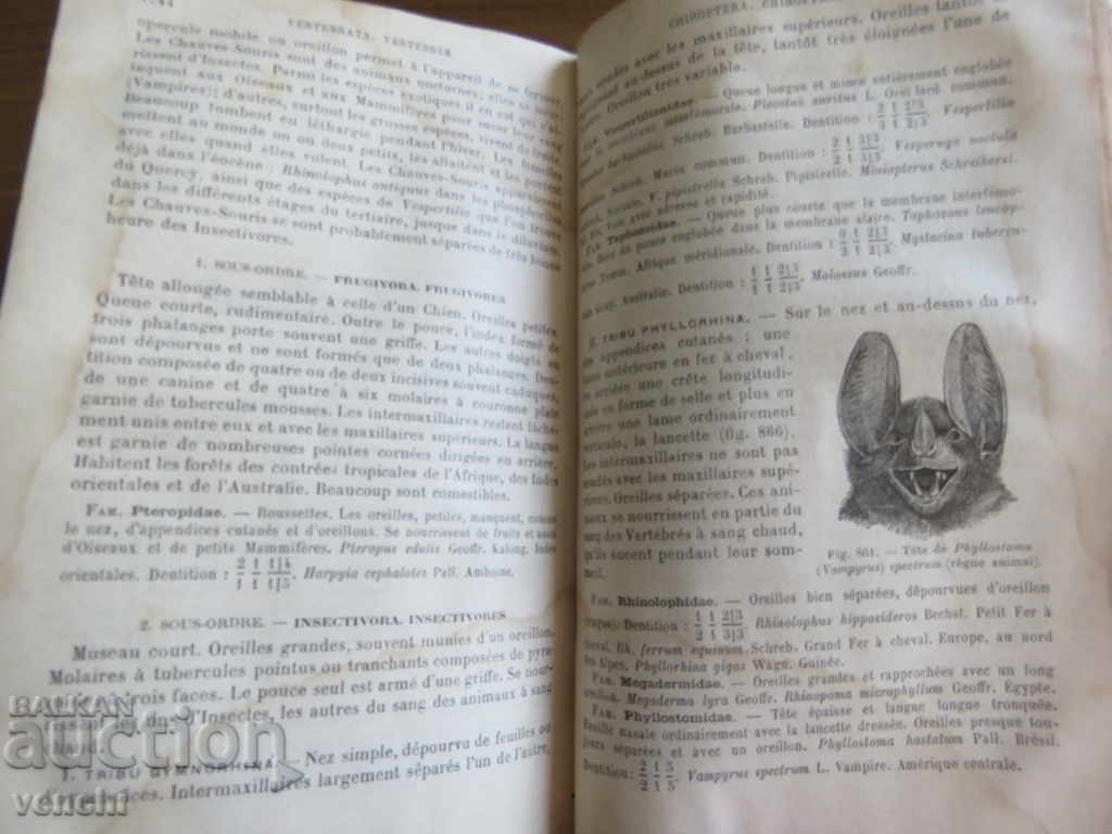 1889 - ZOOLOGY - PARIS - FRENCH - 7 1889 - ZOOLOGY - PARIS - FRENCH - 7