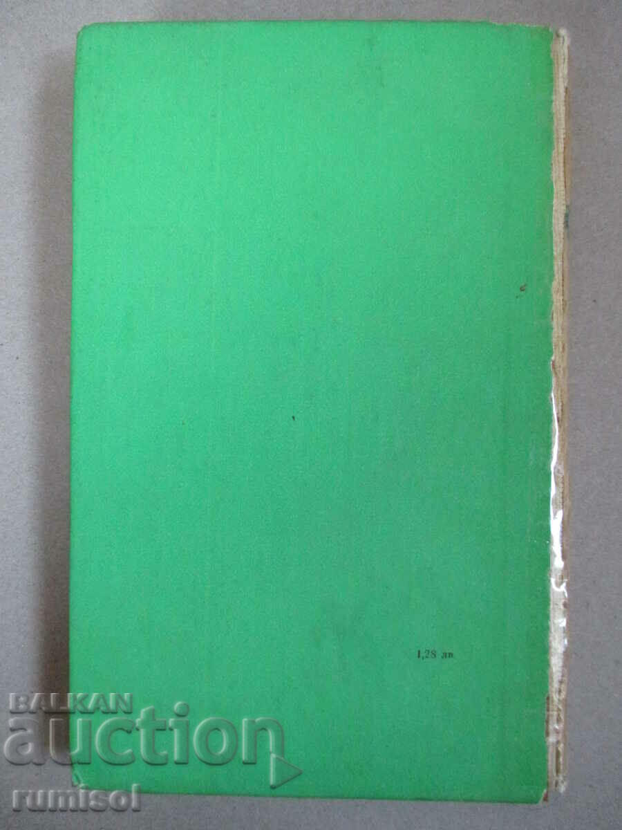 Auction  Limitsa - Zofia Nakolovska