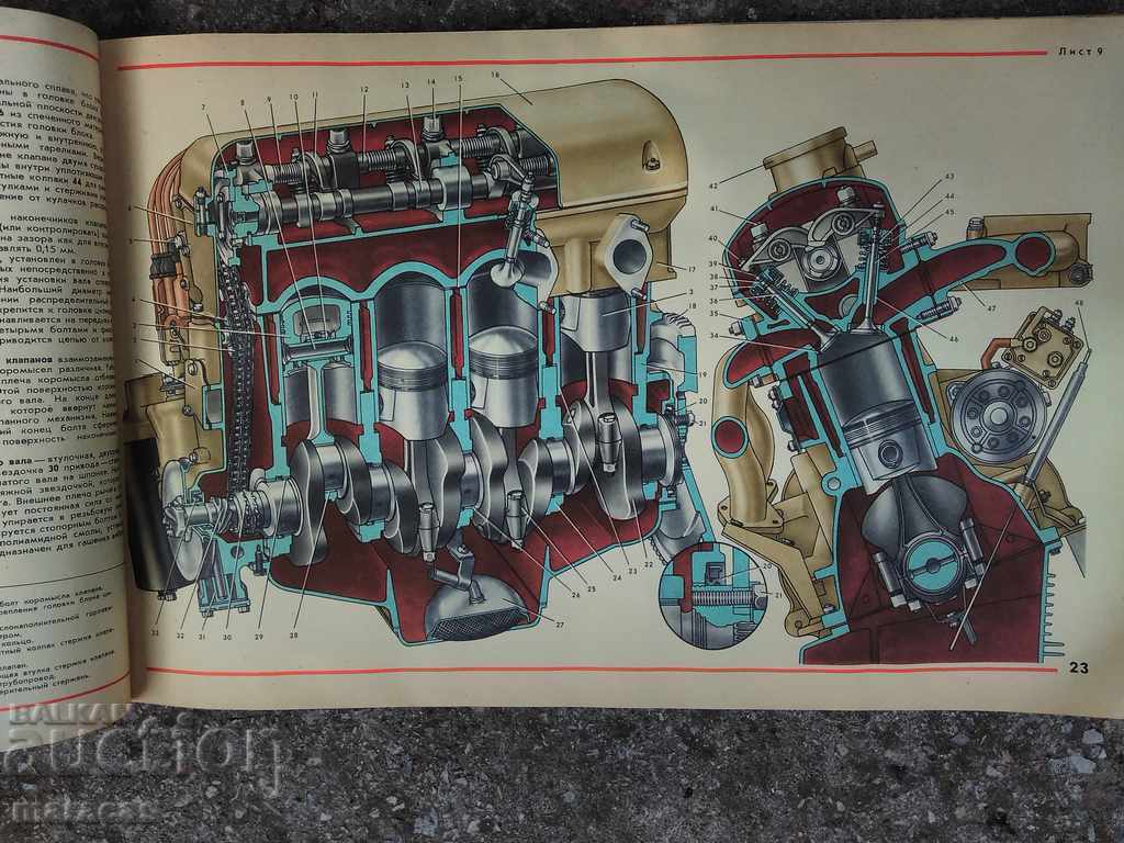 Delivery of A book with illustrations