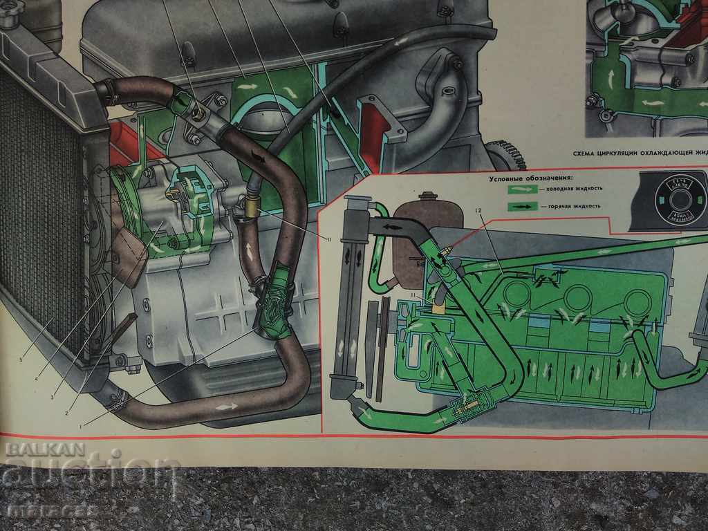 A book with illustrations - 5