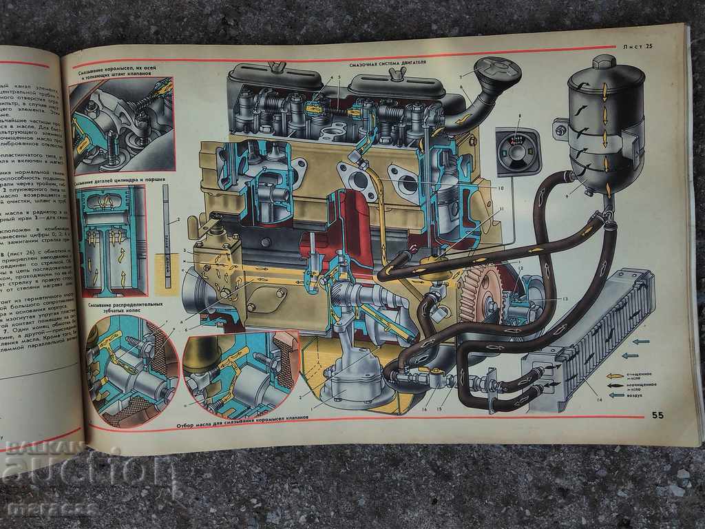 A book with illustrations - 7