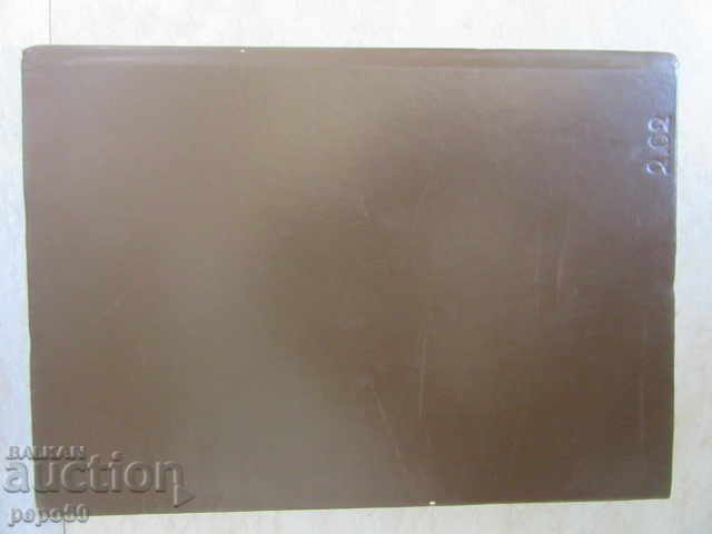 Delivery of FOR THE LITERARY GENRES DURING THE BULGARIAN REVIVAL-1979