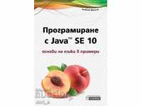 Programming with Java TM SE 10. Basics of the language in examples