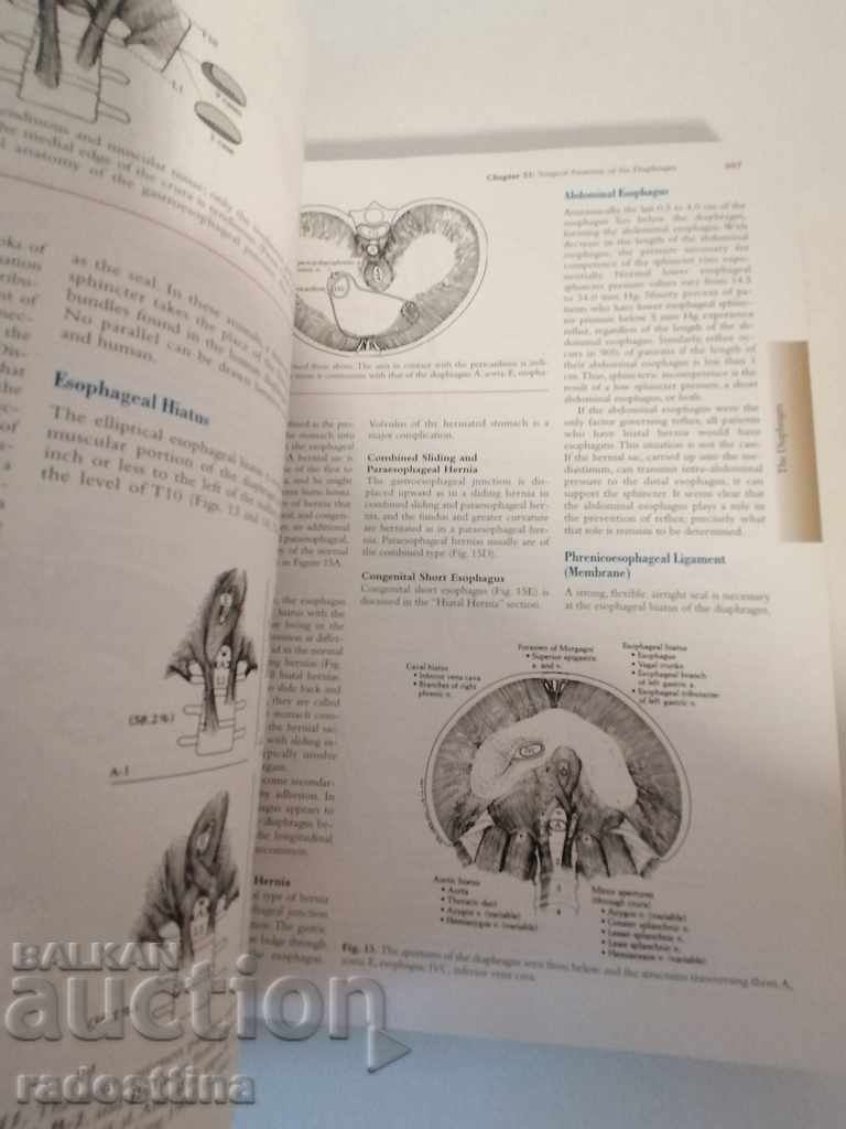 Master of Surgery Josef Fischer 1 and 2 - 5