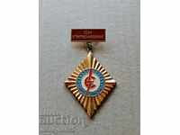 Нагръден Знак Електро Снабдяване Г. Оряховица значка медал
