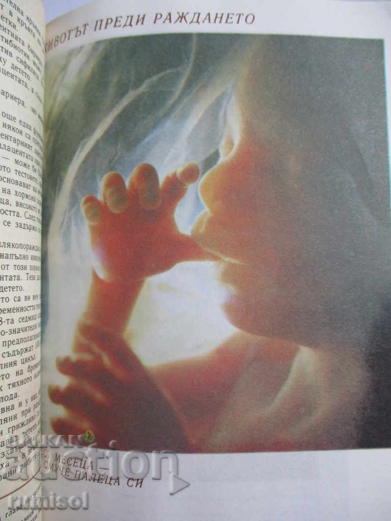 I'm expecting a child - Lorans Pernou with price 4.99 BGN | € 2.55 I'm expecting a child - Lorans Pernou with price 4.99 BGN | € 2.55