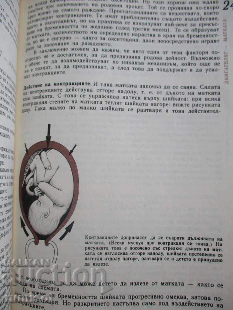 I'm expecting a child - Lorans Pernou - 7 I'm expecting a child - Lorans Pernou - 7