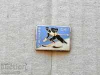 Royal Sign Ski Factor Badge Medal Order