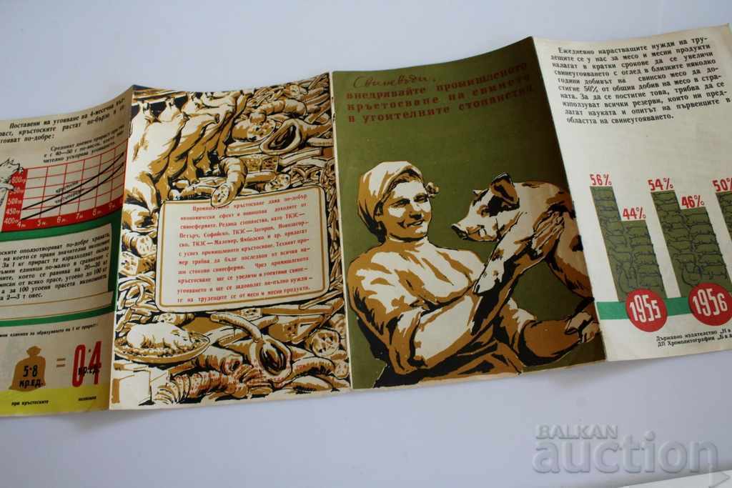 Auction  PIG BREEDERS PIG INDUSTRIAL CROSSING BROCHURE PIG BREEDING