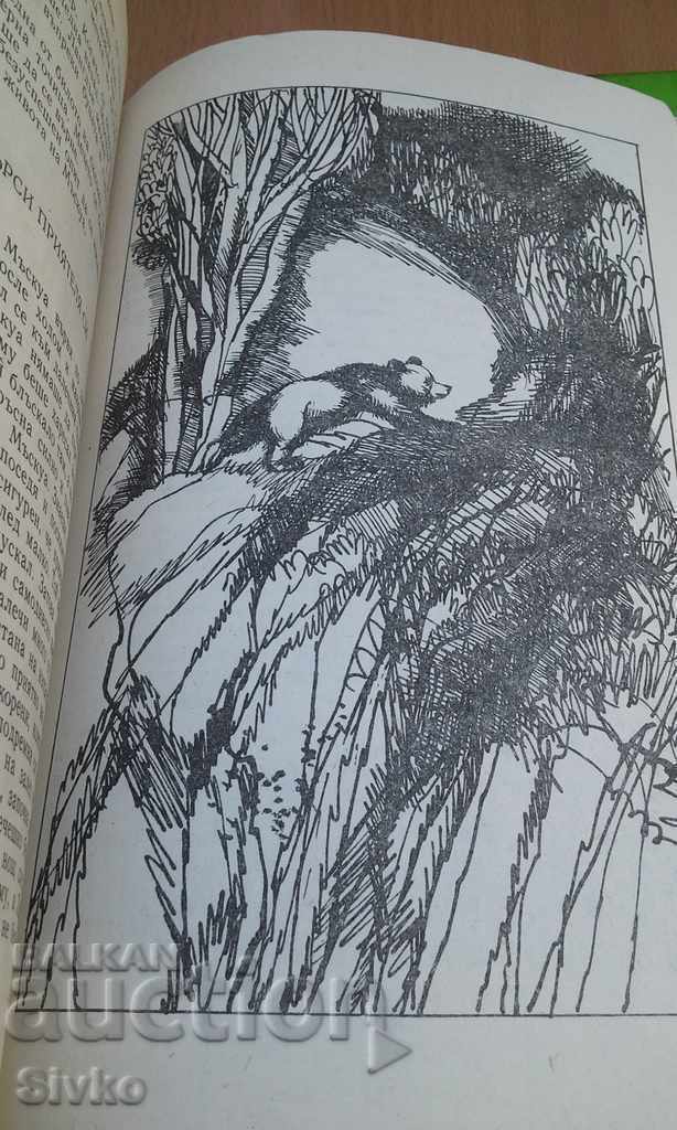 The valley of silence illustrations with price 0.01 BGN | € 0.01 The valley of silence illustrations with price 0.01 BGN | € 0.01