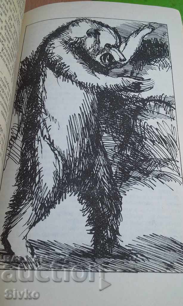 Auction The valley of silence illustrations Auction The valley of silence illustrations