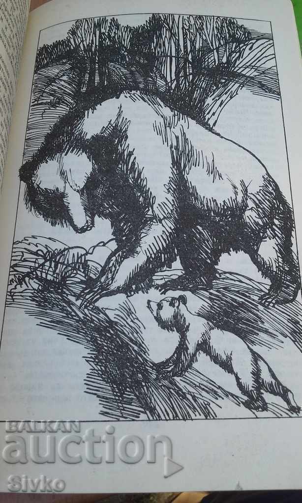 Delivery of The valley of silence illustrations Delivery of The valley of silence illustrations