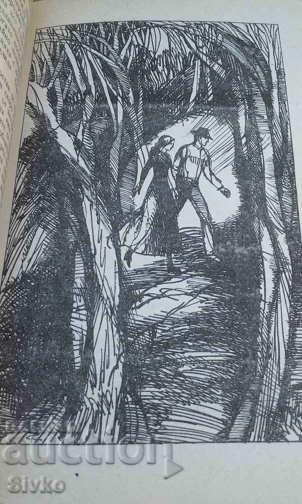 The valley of silence illustrations - 7 The valley of silence illustrations - 7