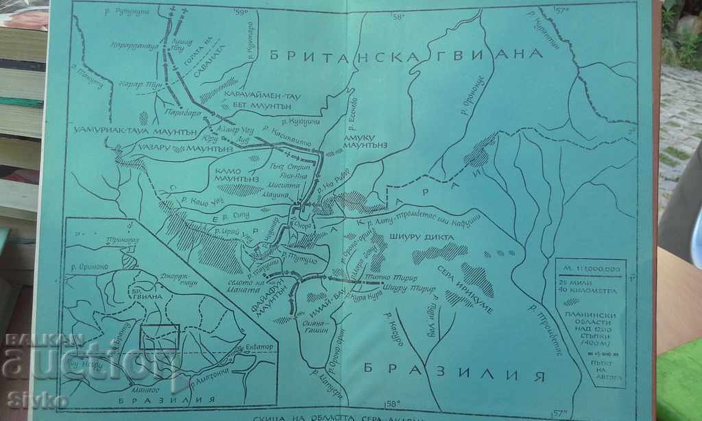 Auction Wye - Wye Nicholas Guppy Auction Wye - Wye Nicholas Guppy