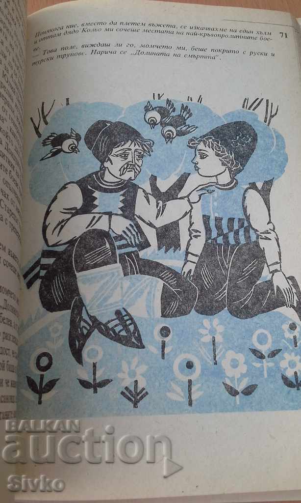 Golden heart Kalina Raspberry many illustrations - 6 Golden heart Kalina Raspberry many illustrations - 6