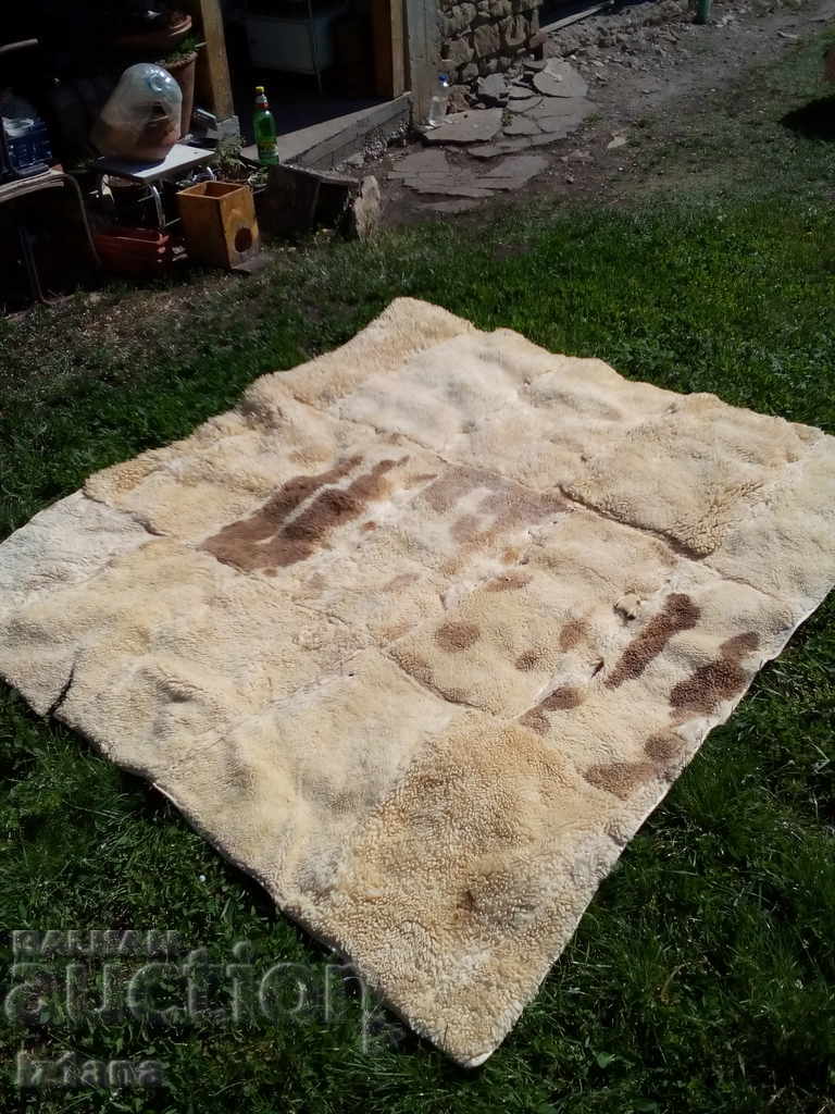 Стара естествена кожа - 5 Стара естествена кожа - 5