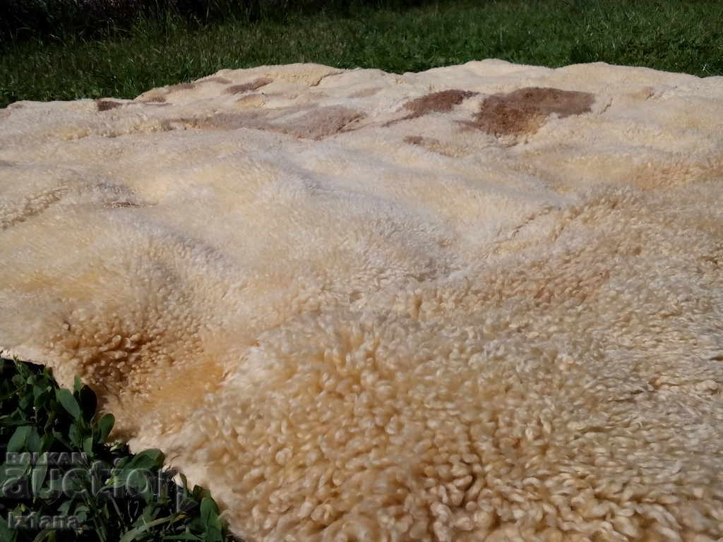 Стара естествена кожа - 7 Стара естествена кожа - 7