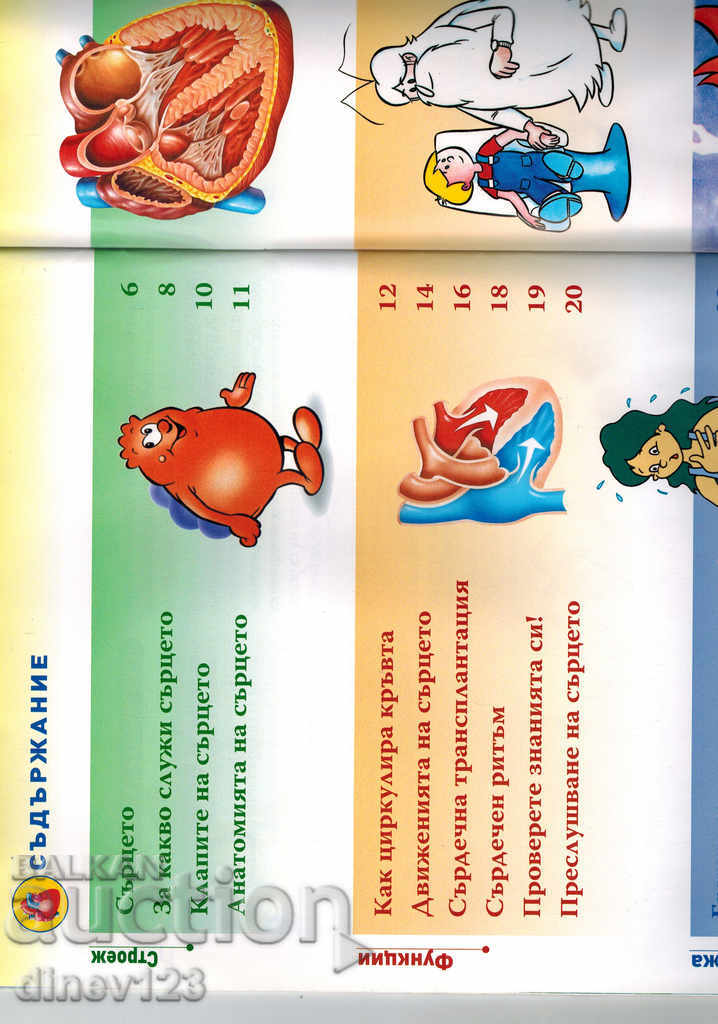 Delivery of A JOURNEY THROUGH THE HUMAN BODY - HEART Delivery of A JOURNEY THROUGH THE HUMAN BODY - HEART