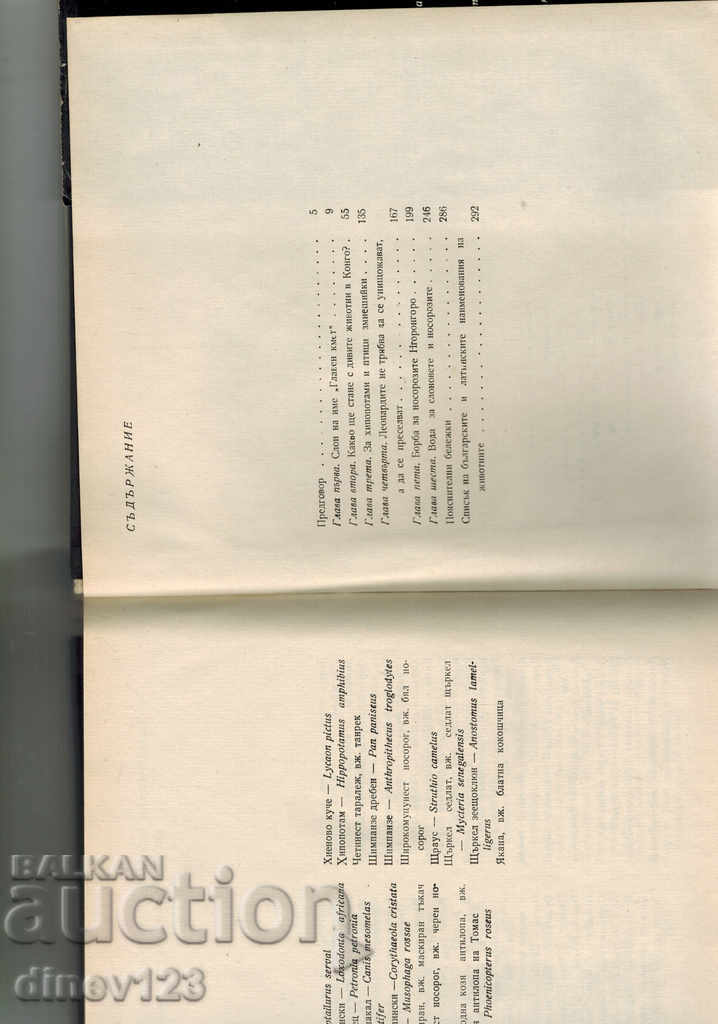 Delivery of THEY BELONG TO EVERYONE - BERNHARD GJIMEK