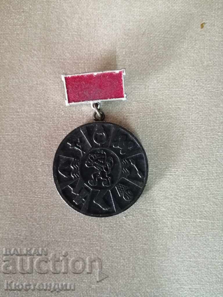 MEDAL FOR SPECIAL MERITS CS BSFS