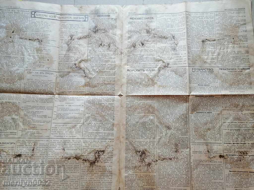 Delivery of Very rare newspaper Women's newspaper Delivery of Very rare newspaper Women's newspaper