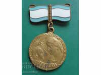 Медаль Материнства II степен