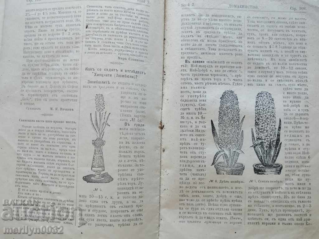 Very rare magazine Household 1903 - 5 Very rare magazine Household 1903 - 5