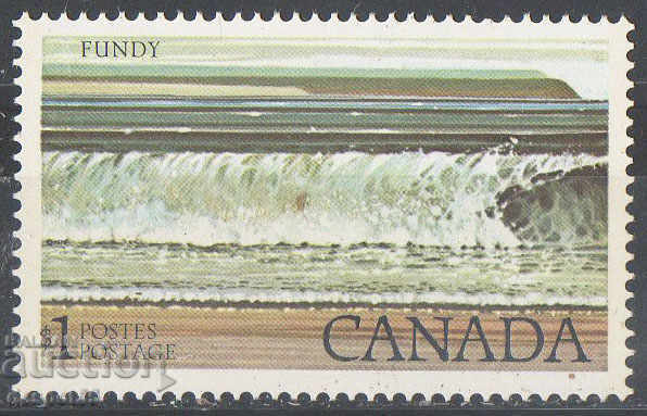 1979. Canada. Parcul Național Fundy.