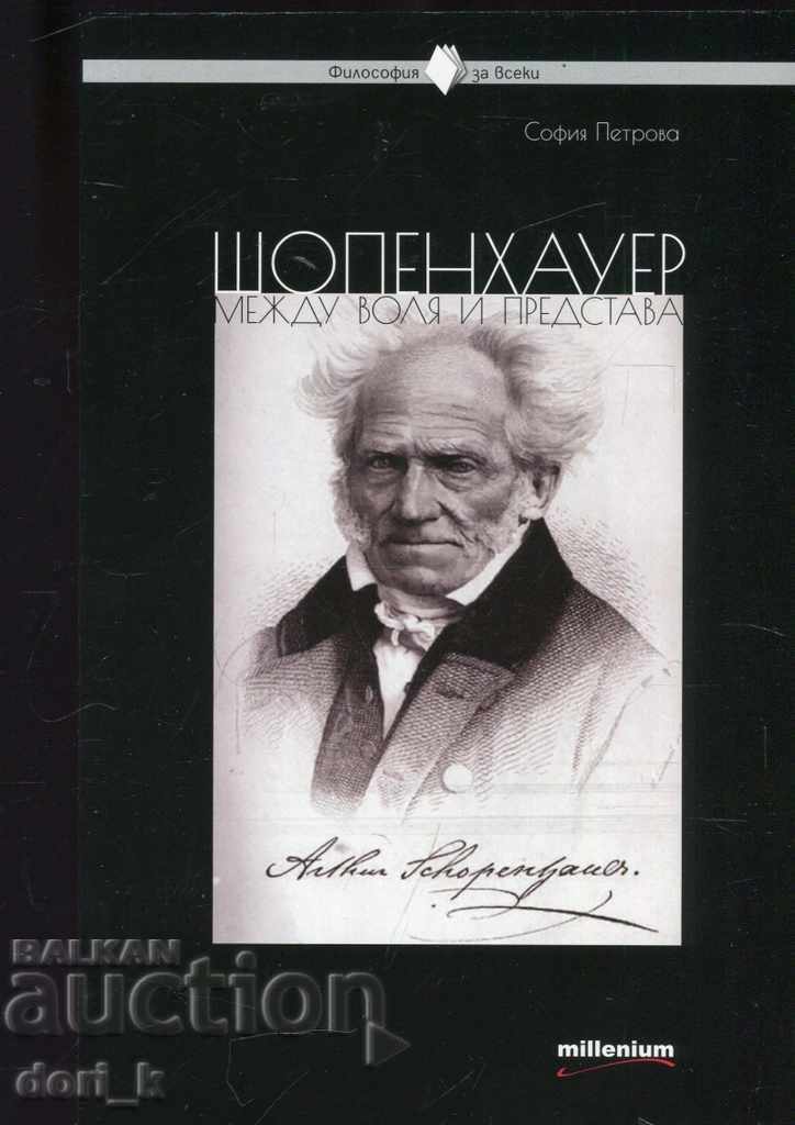 Schopenhauer between will and imagination