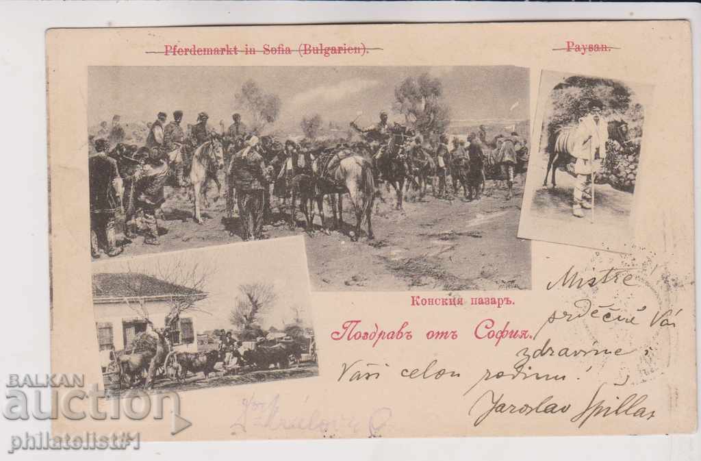 OLD SOFIA approx. 1904 CARD IS VERY ROW! 062
