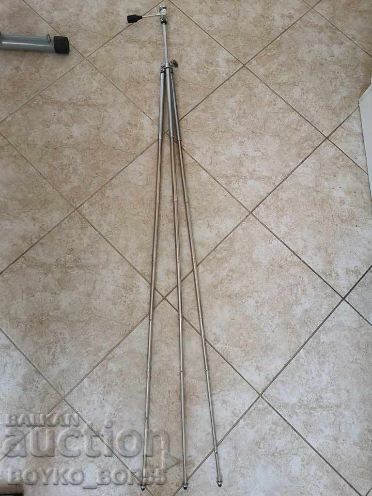 Antique Antique Stand with Case, - 5 Antique Antique Stand with Case, - 5