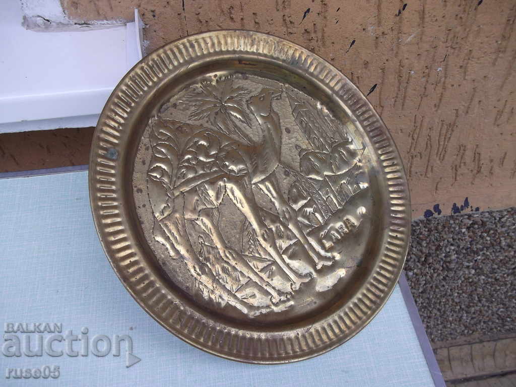 Pano - bronze plate - 504 gr. - 6 Pano - bronze plate - 504 gr. - 6