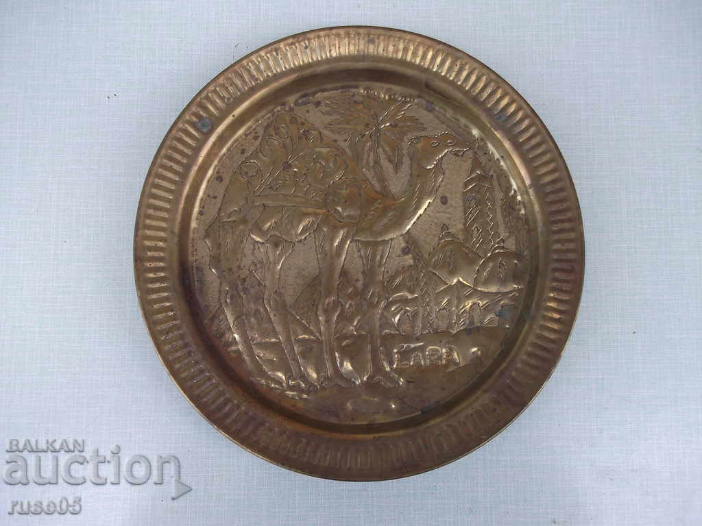 Pano - placă de bronz - 504 gr.