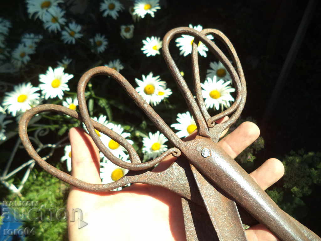 Auction  A PAIR OF OLD ABADJI WROUGHT SCISSORS