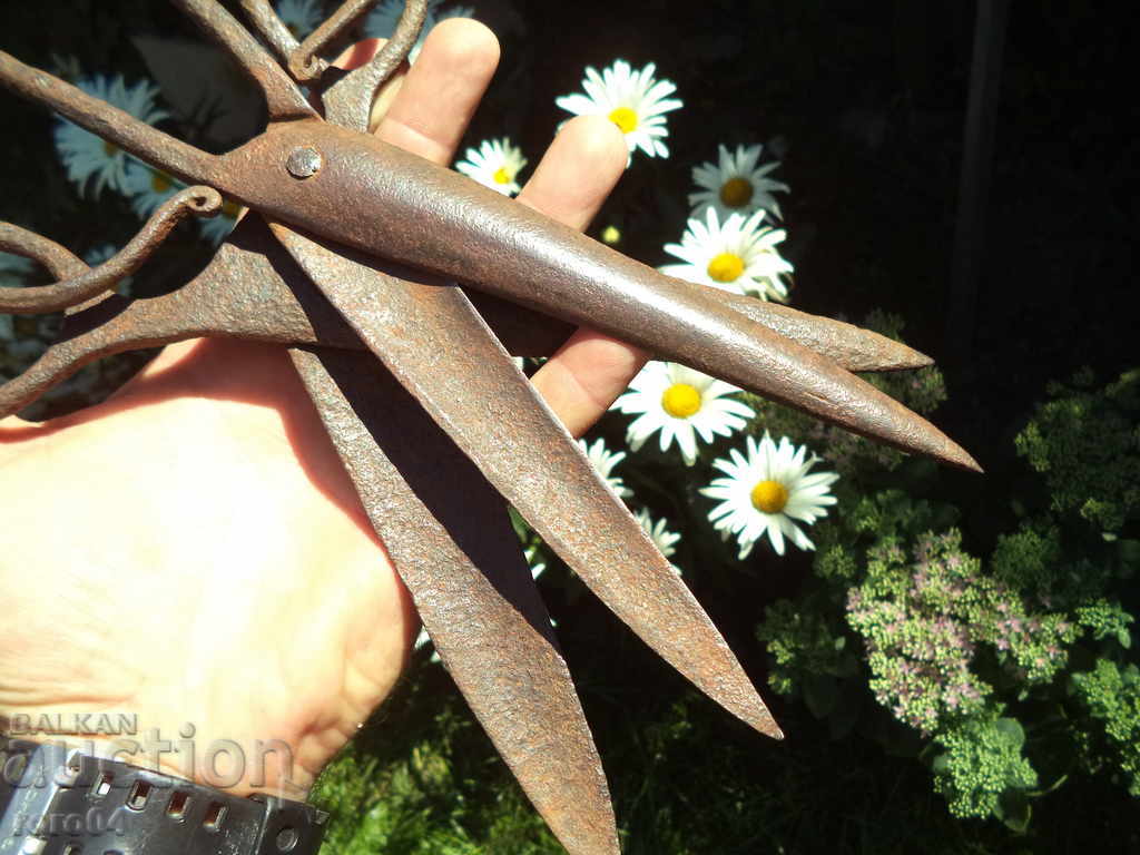 Delivery of A PAIR OF OLD ABADJI WROUGHT SCISSORS