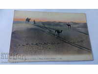 Пощенска картичка Tunis Dunes de Sable et Mechara